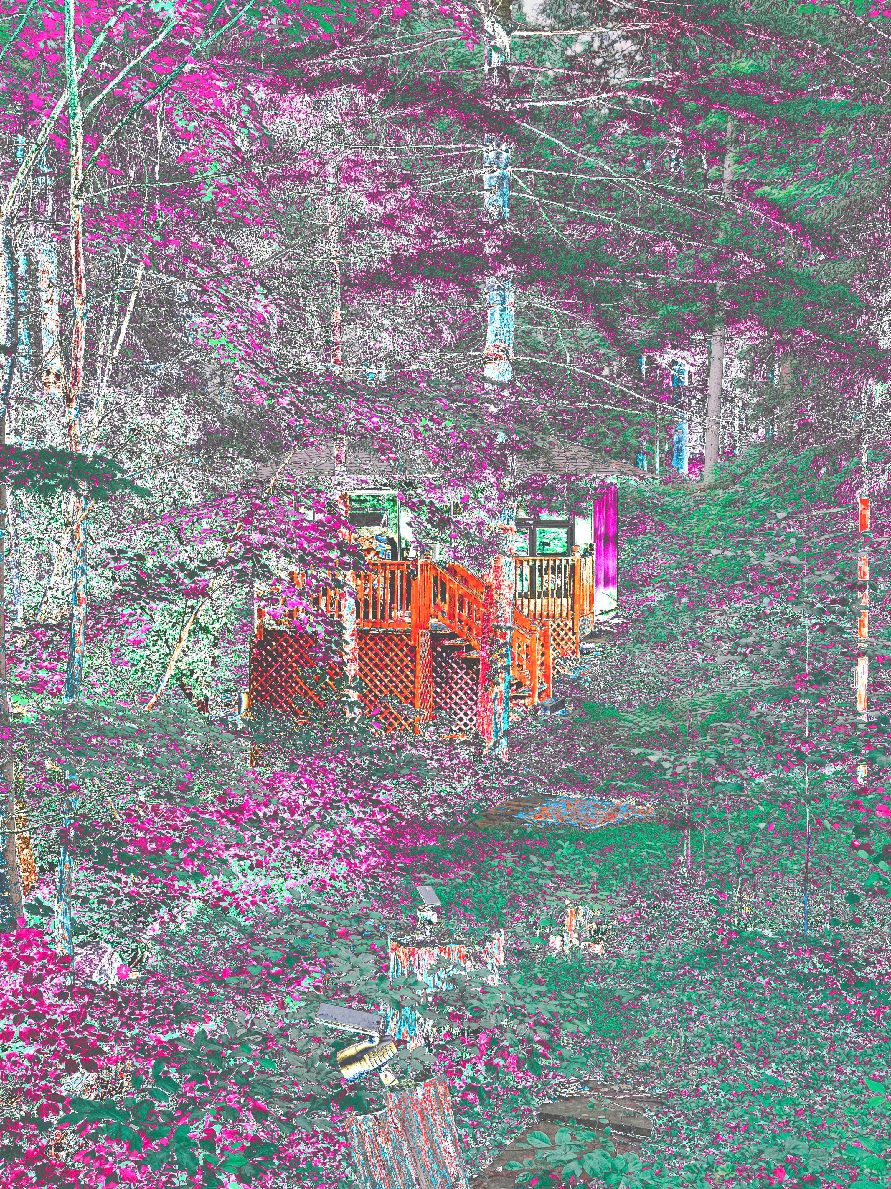 Cabin in the woods